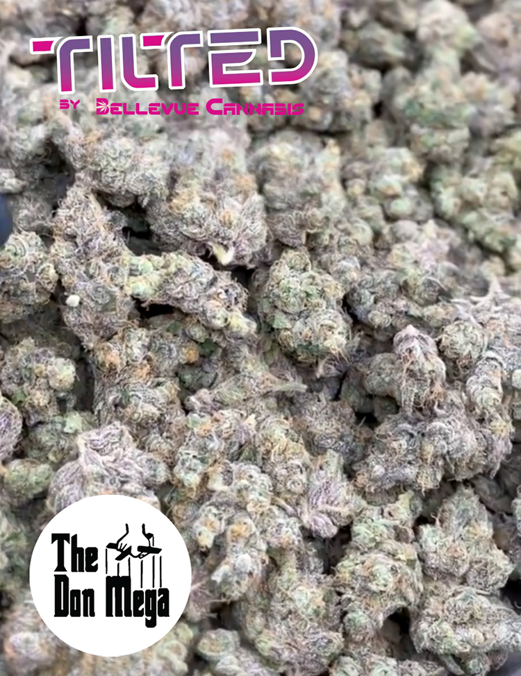 The Don Mega flower